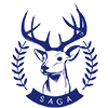 SAGA TECHNOLOGY LIMITED